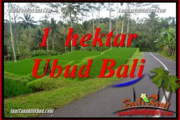 JUAL Tanah di Ubud Bali 10,000 m2 di Ubud Tegalalang