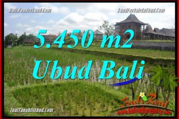 Tanah Murah di Ubud Bali Dijual Untuk Investasi TJUB688