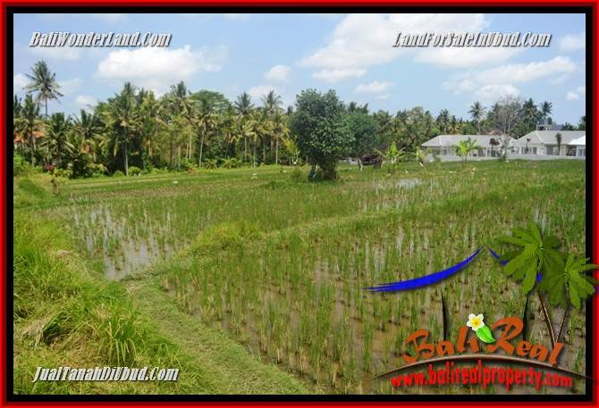 Tanah Murah di Ubud Bali Dijual Untuk Investasi TJUB688