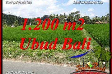 JUAL Tanah di Ubud Untuk Investasi TJUB694