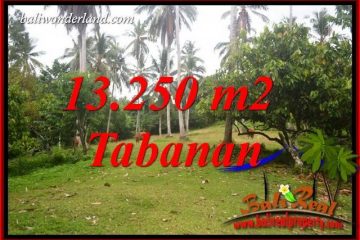 JUAL Tanah Murah di Tabanan Untuk Investasi TJTB403