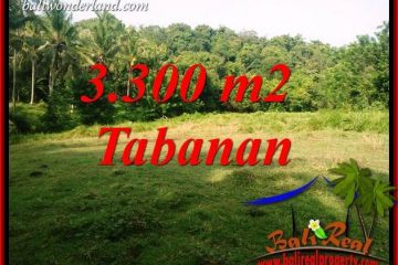 JUAL Tanah di Tabanan Bali Untuk Investasi TJTB413