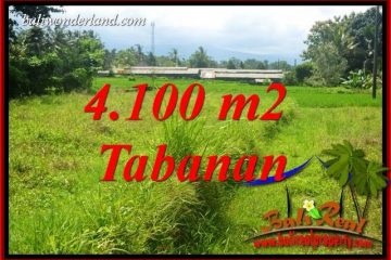 Dijual Murah Tanah di Tabanan 41 are di Tabanan Penebel