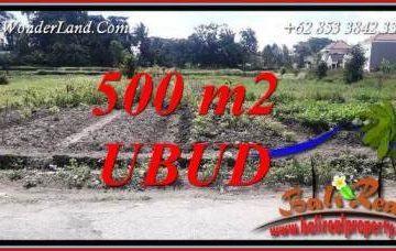 Tanah Dijual di Ubud Bali 500 m2 di Sentral Ubud