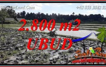 Investasi Property, Tanah di Ubud Dijual Murah TJUB722