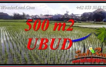 Investasi Property, jual Tanah Murah di Ubud TJUB723