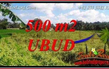 Investasi Properti, Tanah Dijual di Ubud Bali TJUB724