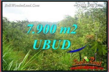 Dijual Tanah Murah di Ubud Bali 7,900 m2 di Ubud Tegalalang