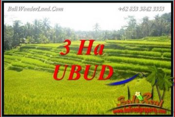 Tanah di Ubud Bali Dijual Murah Untuk Investasi TJUB733