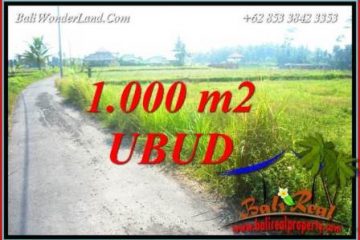 Dijual Murah Tanah di Ubud Bali 1,000 m2 di Ubud Pejeng