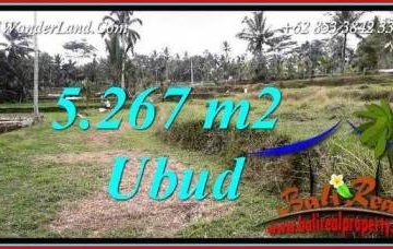 JUAL Murah Tanah di Ubud 5,267 m2 View sawah