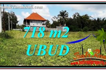 TANAH DIJUAL di UBUD 7 Are di Sentral Ubud
