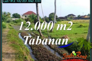 TANAH DIJUAL MURAH di TABANAN BALI