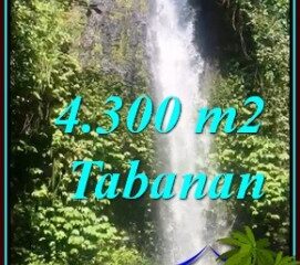 JUAL TANAH DI TABANAN BALI Untuk INVESTASI TJTB480