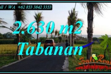 TANAH MURAH di TABANAN BALI Untuk INVESTASI TJTB451