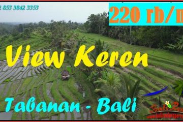 TJTB585 Jual Tanah di Tabanan Bali Land for sale in Indonesia