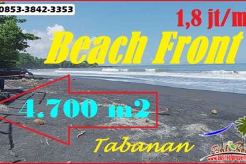 TANAH MURAH JUAL TABANAN 47 Are Tepi Pantai dengan View Sawah