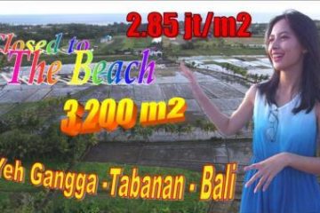 TANAH MURAH JUAL di TABANAN BALI 32 Are View laut, sawah dan gunung
