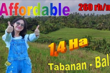 INVESTASI PROPERTY, JUAL TANAH DI TABANAN BALI TJTB621