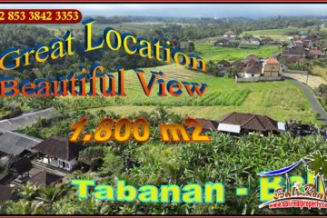 JUAL TANAH MURAH di TABANAN BALI 1,800 m2 View Sawah dan Gunung, Pinggir Jalan