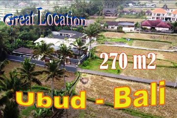 TANAH MURAH DIJUAL di UBUD BALI 270 m2 di Ubud Pejeng
