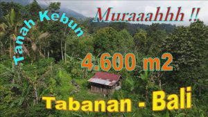 INVESTASI PROPERTY, TANAH di TABANAN BALI DIJUAL MURAH TJTB674