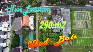 TANAH di UBUD BALI DIJUAL MURAH 3 Are View sawah lingkungan Villa
