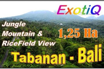JUAL MURAH TANAH di TABANAN 20,000 m2 View sawah, Gunung dan hutan