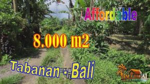 DIJUAL TANAH DI TABANAN 8,000 m2 di Pupuan Tabanan