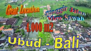 TANAH MURAH DIJUAL di UBUD Untuk INVESTASI TJUB862