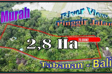 JUAL MURAH TANAH di TABANAN 28,000 m2 View Sungai dan Jungle Pinggir Jalan aspal