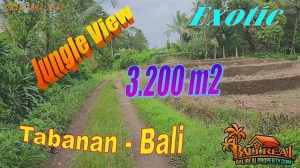 INVESTASI PROPERTI, TANAH MURAH DIJUAL di TABANAN BALI TJTB720