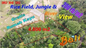 TANAH MURAH di TABANAN BALI DIJUAL 4,850 m2 View Sawah, Hutan, Sungai dan Gunung