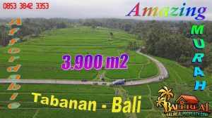 DIJUAL MURAH TANAH di TABANAN 3,875 m2 di Penebel Tabanan