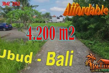 TANAH MURAH di UBUD BALI DIJUAL 4,300 m2 di Sukawati Ubud