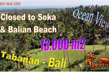 JUAL TANAH DI TABANAN BALI 13,000 m2 View Lembah dan Laut