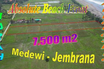 Langka ! Jual Tanah Murah Tepi Pantai di Medewi Jembrana Bali TJB2039