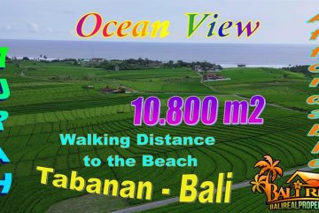 TANAH MURAH JUAL di TABANAN BALI 10,800 m2 View sawah, Gunung dan Laut