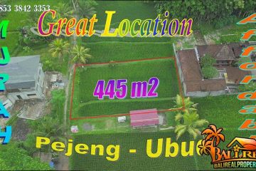 Murah Cantik Strategis, Tanah dijual di Pejeng Ubud Gianyar Bali TJUB878
