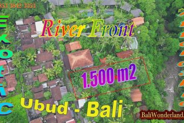 Murah ! Tanah tepi Sungai Petanu dijual dekat Goa Gajah dan Sentral Ubud Bali TJUB880