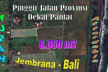 Tanah dijual Murah Pinggir Jalan Provinsi di Jembrana Bali dekat dengan pantai TJB2041
